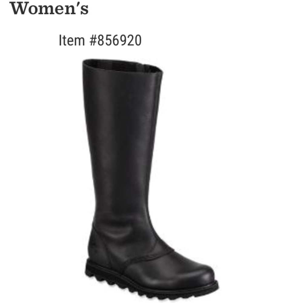 Beautiful, Sleek Sorel Scotia Boots